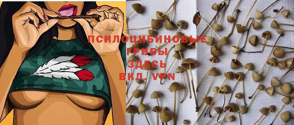 мяу мяу кристалл Арсеньев