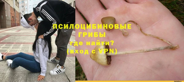 мяу мяу кристалл Арсеньев
