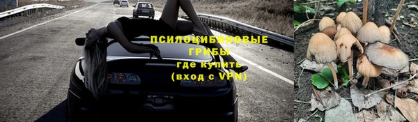 мяу мяу кристалл Арсеньев