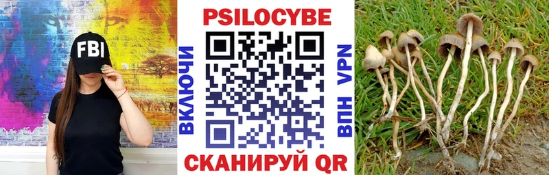 Галлюциногенные грибы Psilocybine cubensis  Тимашёвск 